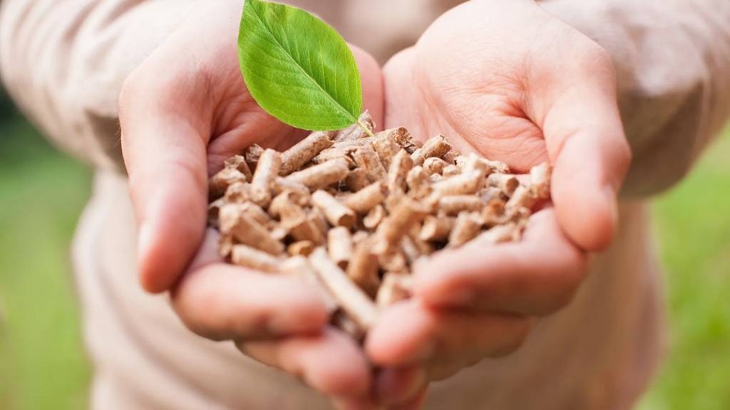 Incentivi per impianti a biomassa Regione Puglia